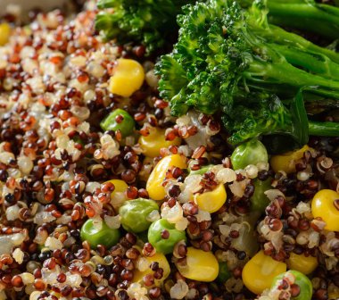 Quinoa kase yakın çekim 1