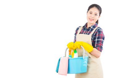 temizlik ürünleri sepete tutan kadın
