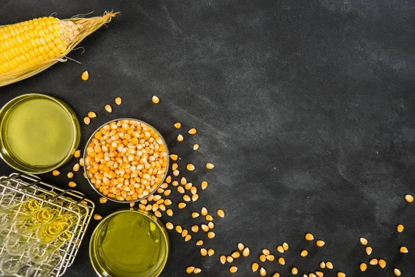 Kukurydzy genetycznie zmodyfikowanej żywności koncepcji — Zdjęcie stockowe