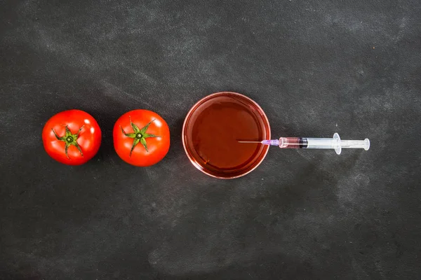 Tomate verbesserte Forschung und Entwicklung — Stockfoto