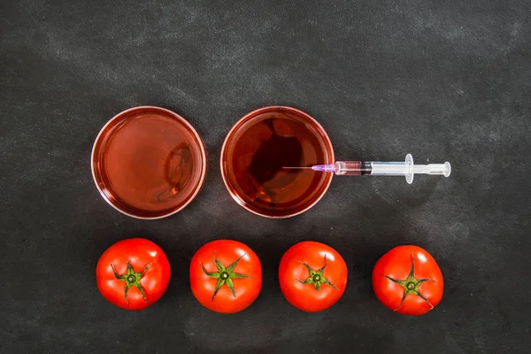 Equipamento de seringa de laboratório com tomates vermelhos — Fotografia de Stock