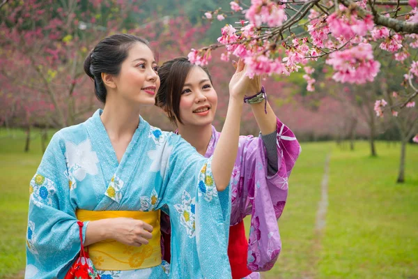 Japanse meisjes genieten van kersenbloesem boom. — Stockfoto