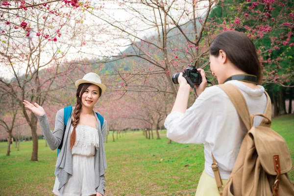 Beauty modern girlfriends  sightseeing sakura — Stock Photo, Image