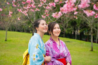 Japon kız sakura arıyorsunuz