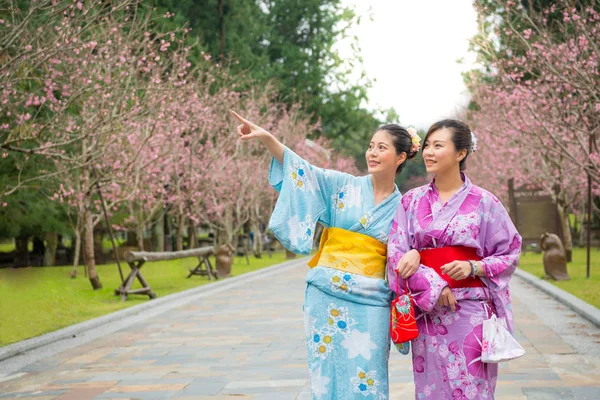 Happy vrienden kijken naar weergave van sakura park — Stockfoto