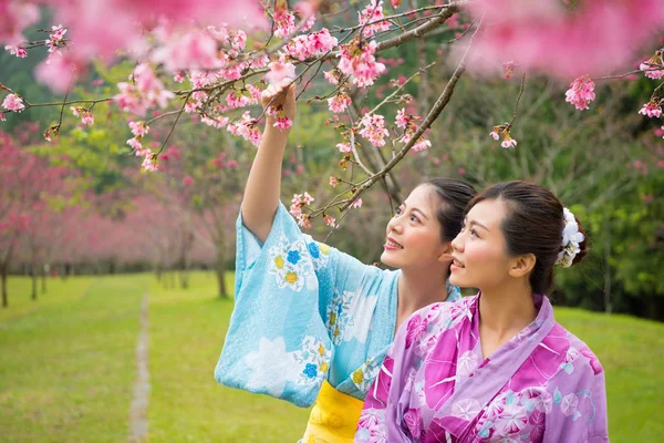Toeristische Aziatische vrouw genieten van uitzicht roze bloem — Stockfoto