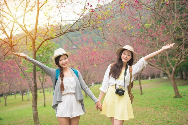Τους φίλους γυναίκες χαρούμενος στην Ιαπωνία στο sakura ιερό. — Φωτογραφία Αρχείου