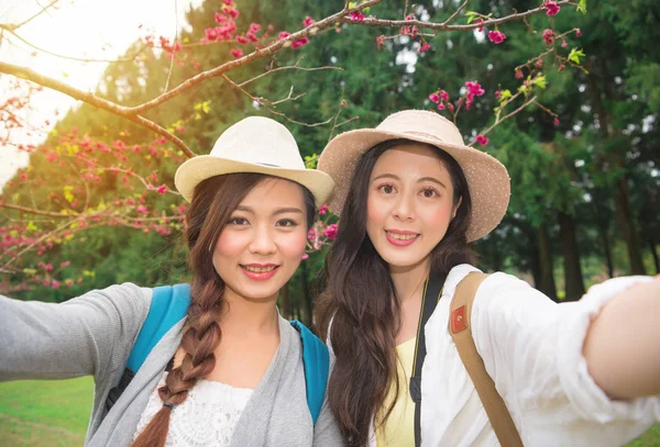 Kore seyahat kiraz çiçeği ile fotoğraf çekme