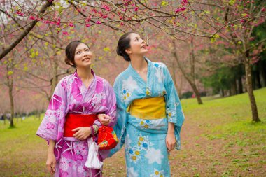 kimono giymiş güzel Japon kız öğrenci