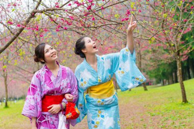 geleneksel kimono giyen kadın gezginler