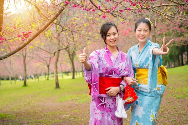Όμορφη κινεζική φορώντας παραδοσιακές κιμονό — Φωτογραφία Αρχείου