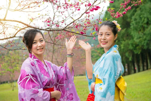 mutlu kadın gösterilen ağaçlar sunulması