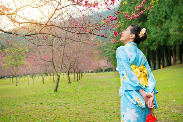 Aziatische vrouw toeristische bloem bomen bekijken — Stockfoto