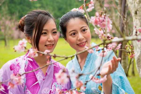 Close-up van jonge vrouwelijke toeristen kijken bloemen — Stockfoto