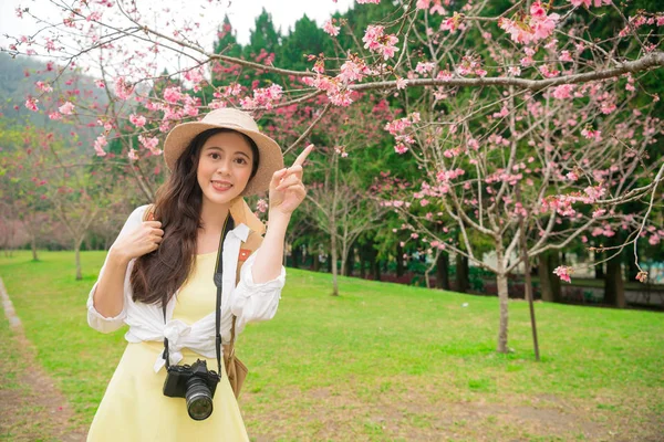 Όμορφη γυναίκα blogger που επισκέπτονται κεράσι πάρκο — Φωτογραφία Αρχείου
