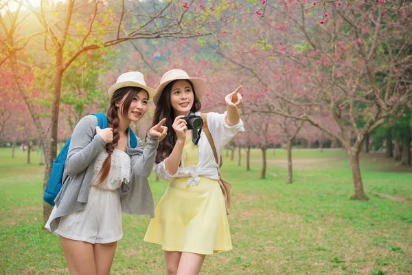 Νεαρή γυναίκα backpackers δείχνει όμορφη sakura — Φωτογραφία Αρχείου