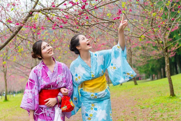 Mujer viajeros vistiendo kimono tradicional — Foto de Stock