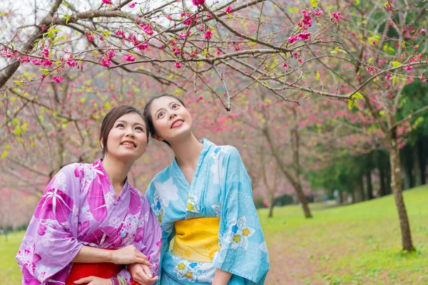 Schoonheid elegante vrouwelijke reizigers kijken sakura — Stockfoto