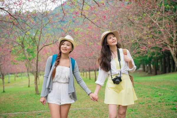 Νέοι ευτυχισμένη φίλες αναζητούν όμορφο sakura — Φωτογραφία Αρχείου