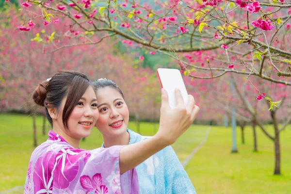 kimono giymiş mutlu güzel turist kız