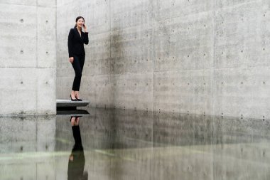 Cep telefonu kullanarak yürütme iş kadını