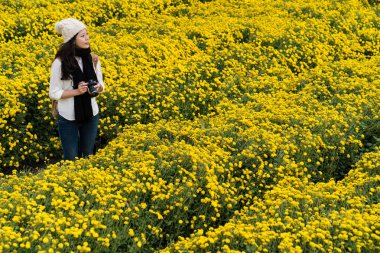 Vietnam krizantem bahçedeki kadın