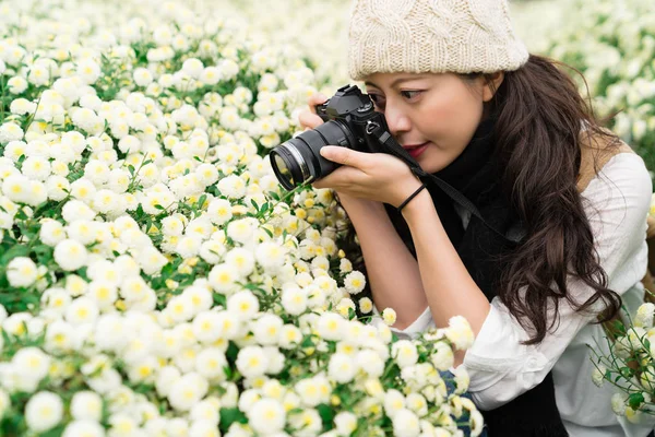 Touristin fotografiert Chrysanthemen — Stockfoto