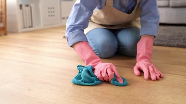 Selbstbewusste Junge Putzfrau Trägt Lappen Mit Waschmittel Kniend Auf Holzboden — Stockvideo