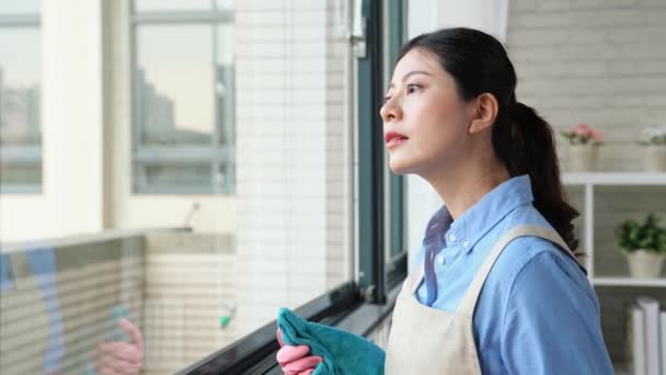 自信を持っている主婦は 新年を迎える清掃を年の終わりの間にリビング ルームの窓を拭いています — ストック動画