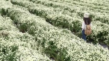 Yün kap ve kamera beyaz krizantem bahçede sonbaharda tutan eşarp ile güzel Asyalı kadın portresi. Stand ve sahne gaze.