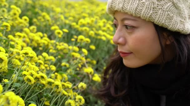 Mujer Asiática Sosteniendo Mano Cámara Disfrutando Vista Los Campos Crisantemo — Vídeos de Stock