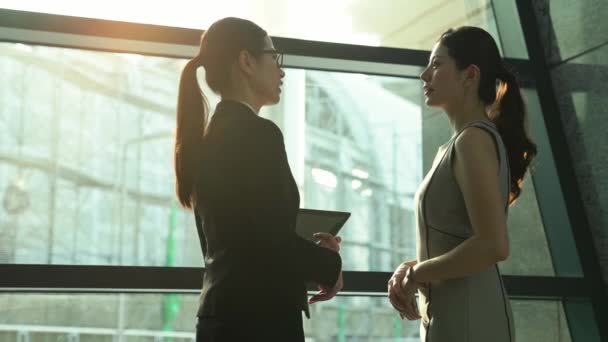 Silhouette Deux Directeurs Asiatiques Réussis Discuter Des Idées Après Avoir — Video