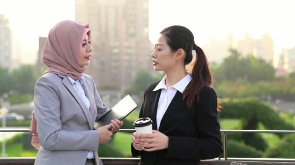 Quick Briefing Meeting Two Cheerful Young Business People Talking Each — Stock Video