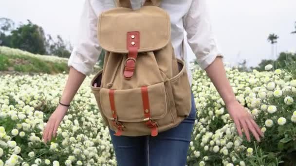 Mujer Joven Agrónoma Caminando Campo Flores Crisantemo Flor Abrir Mano — Vídeo de stock