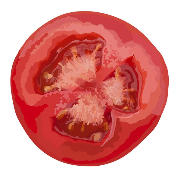Rebanada de tomate aislada sobre fondo blanco, vista superior — Archivo Imágenes Vectoriales