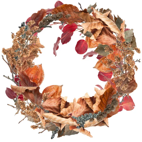 Red autumn leaves wreath isolated on white — Stock Photo, Image