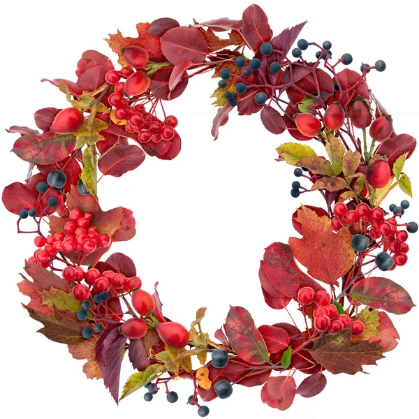 Red autumn leaves and berries wreath isolated on white — Stock Photo, Image