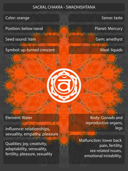 Chakras symbols with meanings infographic — Stock Vector