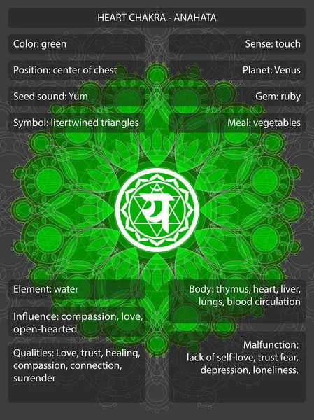 Symboles de chakras avec des significations infographie — Image vectorielle