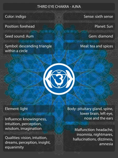 Chakras สัญลักษณ์ที่มีความหมาย infographic — ภาพเวกเตอร์สต็อก
