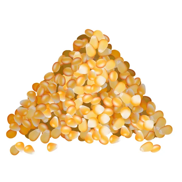 Maïs graines pile vue de côté sur fond blanc — Image vectorielle
