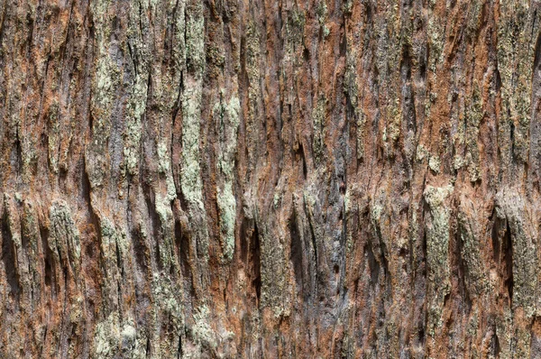 樹皮のシームレスなパターン、皮膚スタイル樹皮 — ストック写真