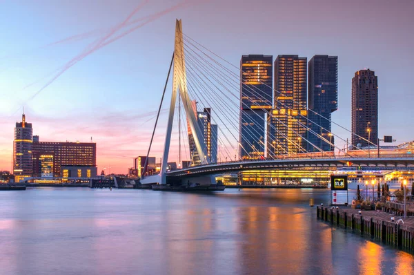Rotterdam 'daki Meuse nehri üzerindeki Erasmus köprüsü