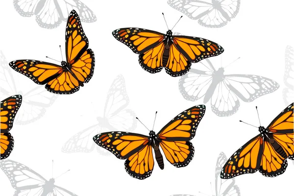 Kral kelebeği kusursuz vektör deseni çizimi — Stok Vektör