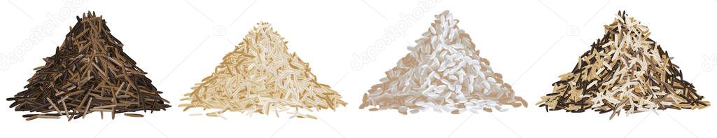 Rice types pile set vector illustration panoramic