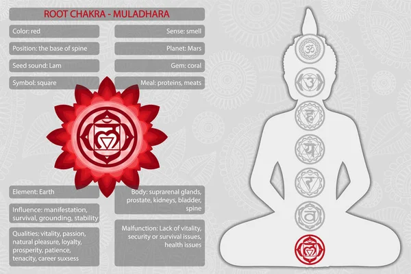 Chakras símbolos con descripción de significados infografía — Vector de stock
