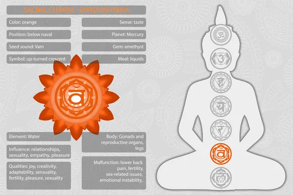 Chakras símbolos con descripción de significados infografía — Vector de stock