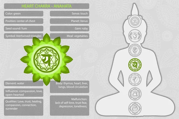 Chakras símbolos con descripción de significados infografía — Vector de stock