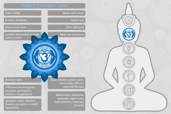 Chakras símbolos con descripción de significados infografía — Archivo Imágenes Vectoriales