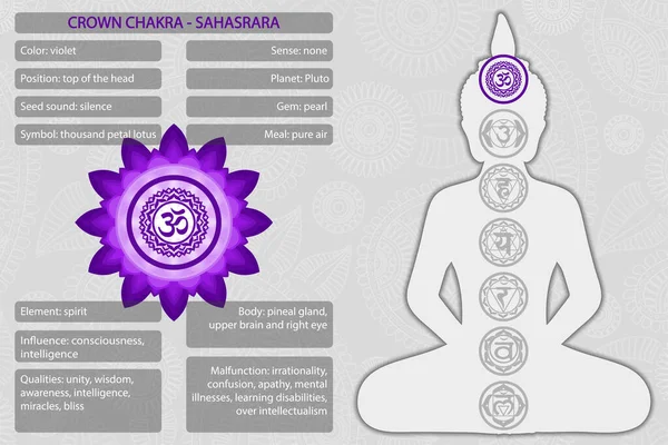 Symboles de chakras avec description des significations infographie — Image vectorielle